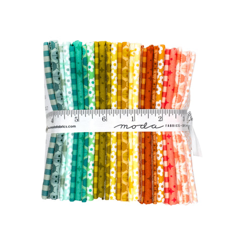 PREORDER Popcorn Fat Quarter Bundle by Elizabeth Hartman for Moda Fabrics