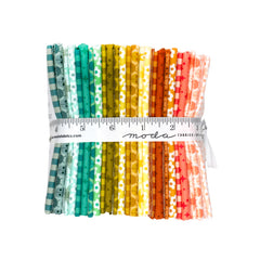 Popcorn Fat Quarter Bundle by Elizabeth Hartman for Moda Fabrics