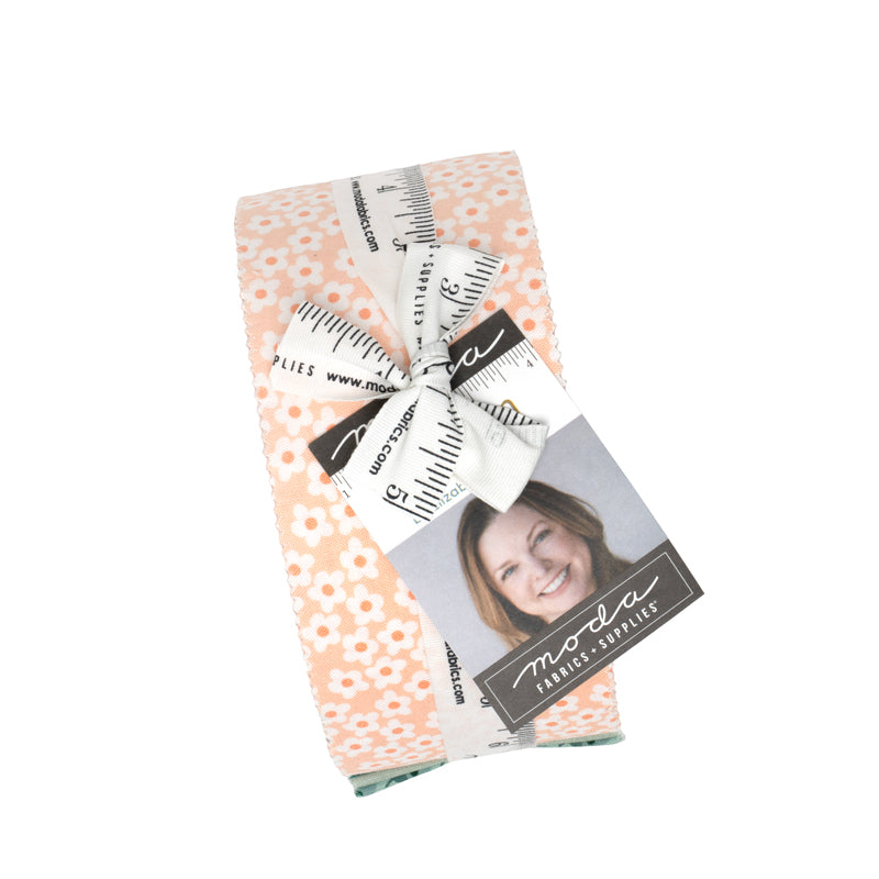 Popcorn Jelly Roll by Elizabeth Hartman for Moda Fabrics