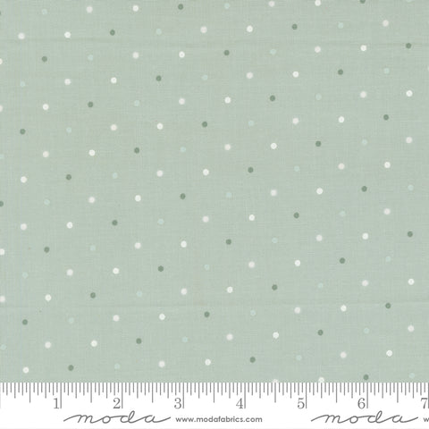 True Love Robins Egg Magic Dot Yardage by Lella Boutique for Moda Fabrics