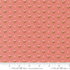Wild Honey Rose Water Bumbling Posies Yardage by Lella Boutique for Moda Fabrics