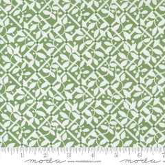 Shoreline Green Lattice Yardage by Camille Roskelley for Moda Fabrics