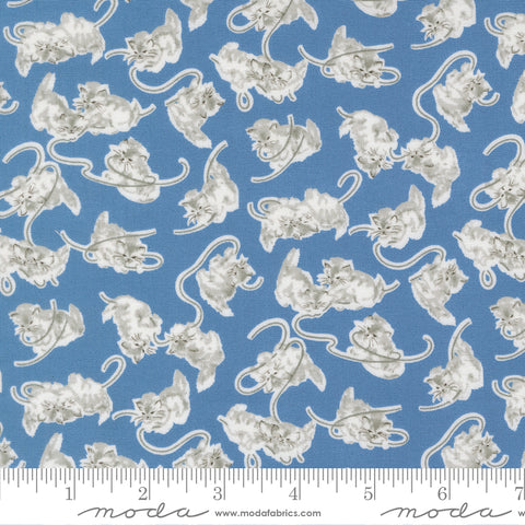 A Cat Named Stitch Blue Georgie Yardage by Camille Roskelley for Moda Fabrics