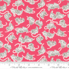A Cat Named Stitch Rosie Georgie Yardage by Camille Roskelley for Moda Fabrics