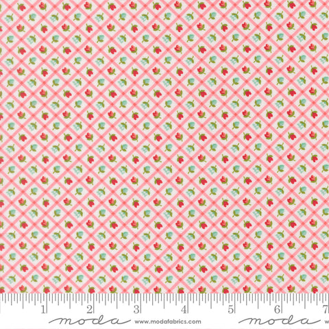 Bloomsberry Blush Check Yardage by Camille Roskelley for Moda Fabrics