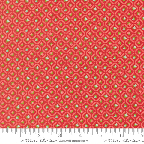 Bloomsberry Red Check Yardage by Camille Roskelley for Moda Fabrics