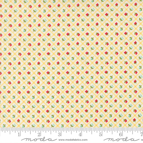 Bloomsberry Buttermilk Check Yardage by Camille Roskelley for Moda Fabrics