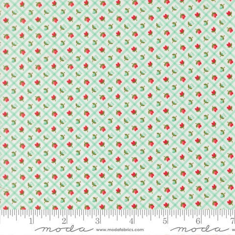 Bloomsberry Aqua Check Yardage by Camille Roskelley for Moda Fabrics