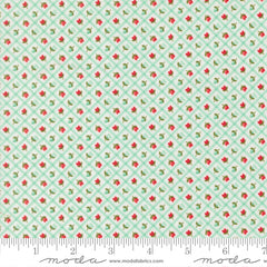 Bloomsberry Aqua Check Yardage by Camille Roskelley for Moda Fabrics