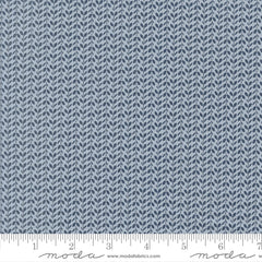 Independence Day Splash Flower Garden Yardage by Sweetwater for Moda Fabrics