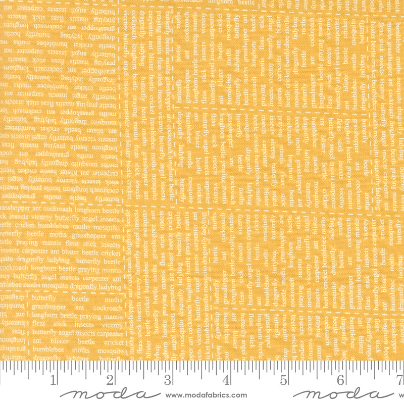 Bug Collector Sunshine In The News Yardage by Sweetwater for Moda Fabrics