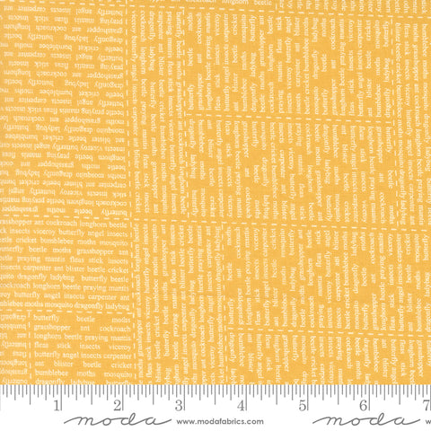 Bug Collector Sunshine In The News Yardage by Sweetwater for Moda Fabrics