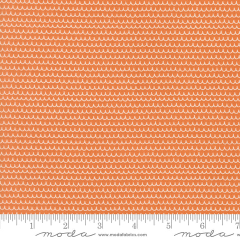 Bug Collector Orange Squiggles Yardage by Sweetwater for Moda Fabrics