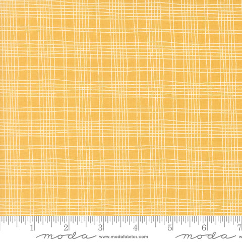 Bug Collector Sunshine Plaid Yardage by Sweetwater for Moda Fabrics