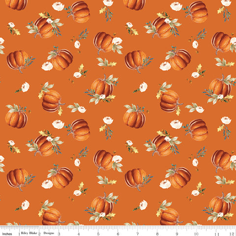 Shades Of Autumn Orange Pumpkins Yardage by My Mind's Eye for Riley Blake Designs