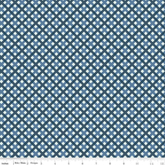 Sweet Freedom Blue Gingham Picnic Yardage by Beverly McCullough for Riley Blake Designs