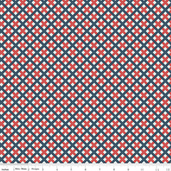 Sweet Freedom Multi Gingham Picnic Yardage by Beverly McCullough for Riley Blake Designs