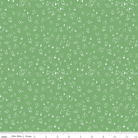 Farm Livin' Green Grass Yardage by Diane Labombarbe for Riley Blake Designs