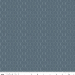 Lil' Farm Friends Thunder Chicken Wire Yardage by Kelsey Carlson for Riley Blake Designs