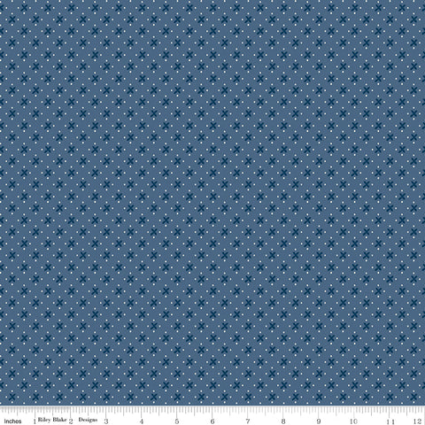 Denim & Daisy Denim Kisses Yardage by Lori Holt for Riley Blake Designs