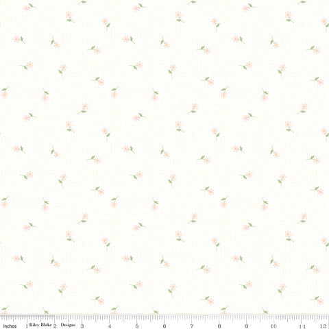 Hush Hush 6 Oopsie Daisies Yardage by Riley Blake Designers for Riley Blake Designs