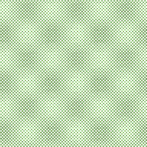 Seasonal Basics Green Gingham Yardage by Christopher Thompson for Riley Blake Designs