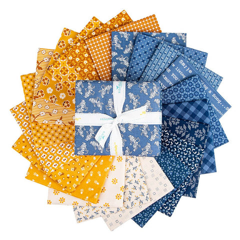 PREORDER Denim & Daisy Fat Quarter Bundle by Lori Holt for Riley Blake Designs