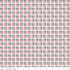 Sweet Freedom Sand Dollar Flags Yardage by Beverly McCullough for Riley Blake Designs