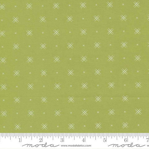 Beyond Bella Pistachio Yardage by Bound Co. for Moda Fabrics