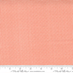 Make Time Strawberry Woven Check Yardage by Aneela Hoey for Moda Fabrics