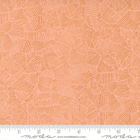 Meander Peach Field Yardage by Aneela Hoey for Moda Fabrics