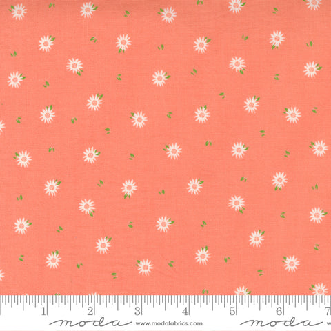Sincerely Yours Coral Chamomile Yardage by Sherri & Chelsi for Moda Fabrics