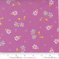 Seashore Drive Violet Daisy Floral Yardage by Sherri & Chelsi for Moda Fabrics