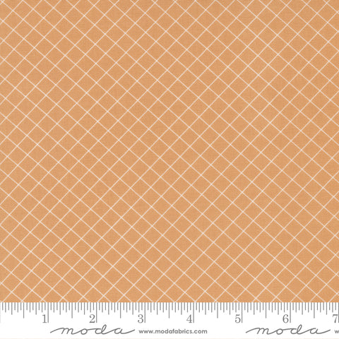 Sunnyside Apricot Graph Yardage by Camille Roskelley for Moda Fabrics