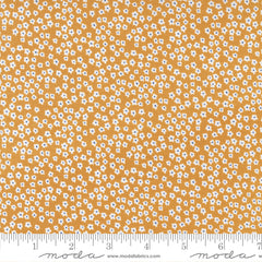 Graze Sunshine Blooms Yardage by Sweetwater for Moda Fabrics