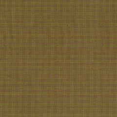 Pumpkin Patch Plaids Olive Double Graph Yardage by Renee Nanneman for Andover Fabrics