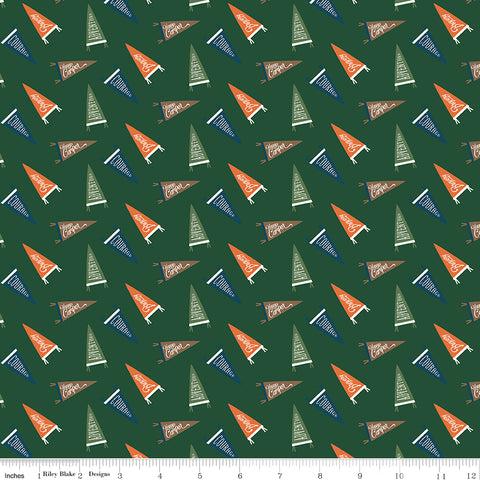Adventure is Calling Green Flags Yardage by Dani Mogstad for Riley Blake Designs