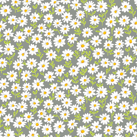 Sunny Bee Grey Daisies Yardage by Andover Fabrics for Andover Fabrics